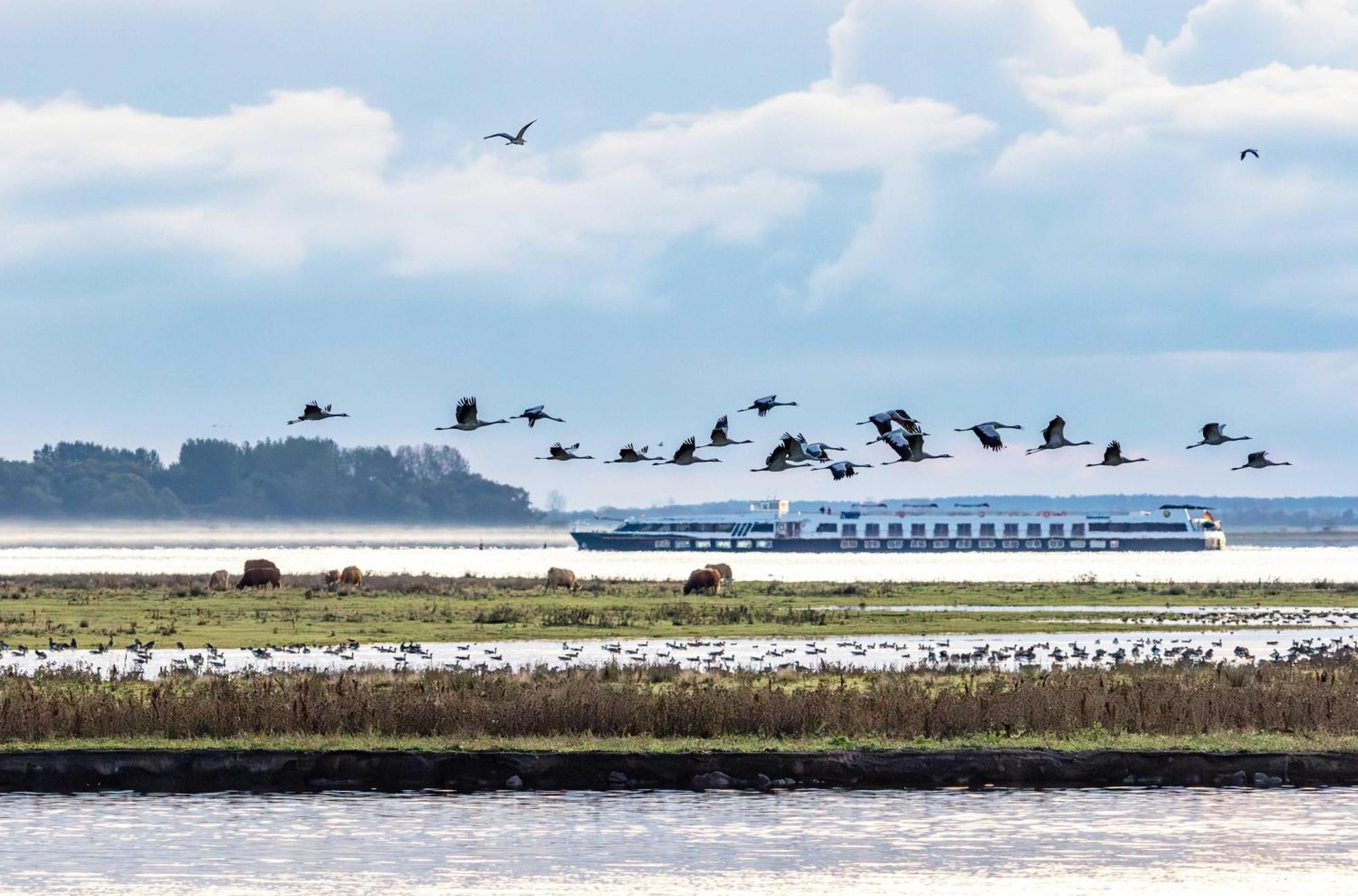 Kleine Freiheit An Der Seebruecke Zingst Exteriör bild